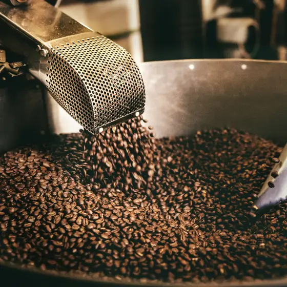 Coffee beans turning in the drum of a commercial roaster