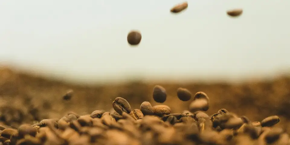 Dark roasted coffee beans falling onto a pile, close macro shot